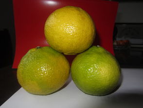 洪江市黔陽(yáng)紅農(nóng)產(chǎn)品專(zhuān)業(yè)合作社 優(yōu)質(zhì)食用農(nóng)產(chǎn)品批發(fā)與供應(yīng)