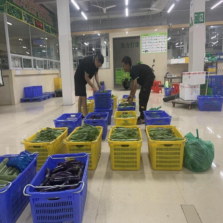 從田間到餐桌的綠色橋梁 探尋坑梓蔬菜配送與大型種植基地的產(chǎn)業(yè)脈動(dòng)
